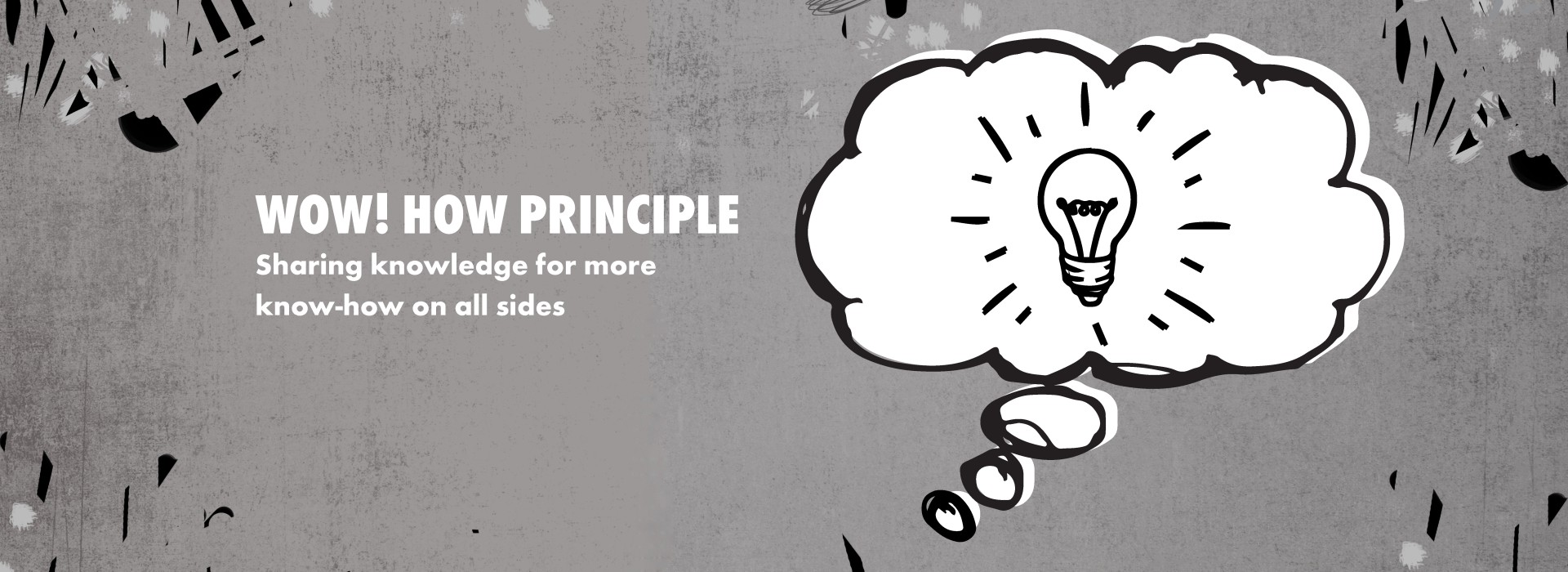 WOW! HOW PRINCIPLE